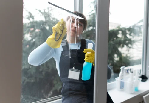 Nettoyage de vitres intérieures et extérieures à Pont-du-Navoy